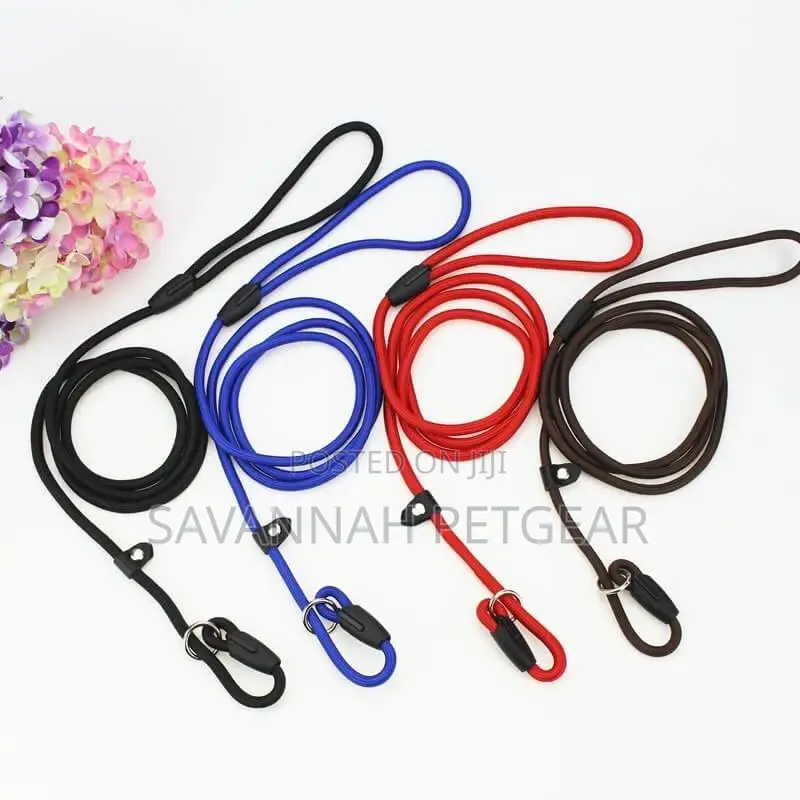 Medium Slip Lead Training/Walking Dog Rope Leash