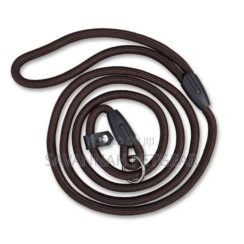 Medium Slip Lead Training/Walking Dog Rope Leash