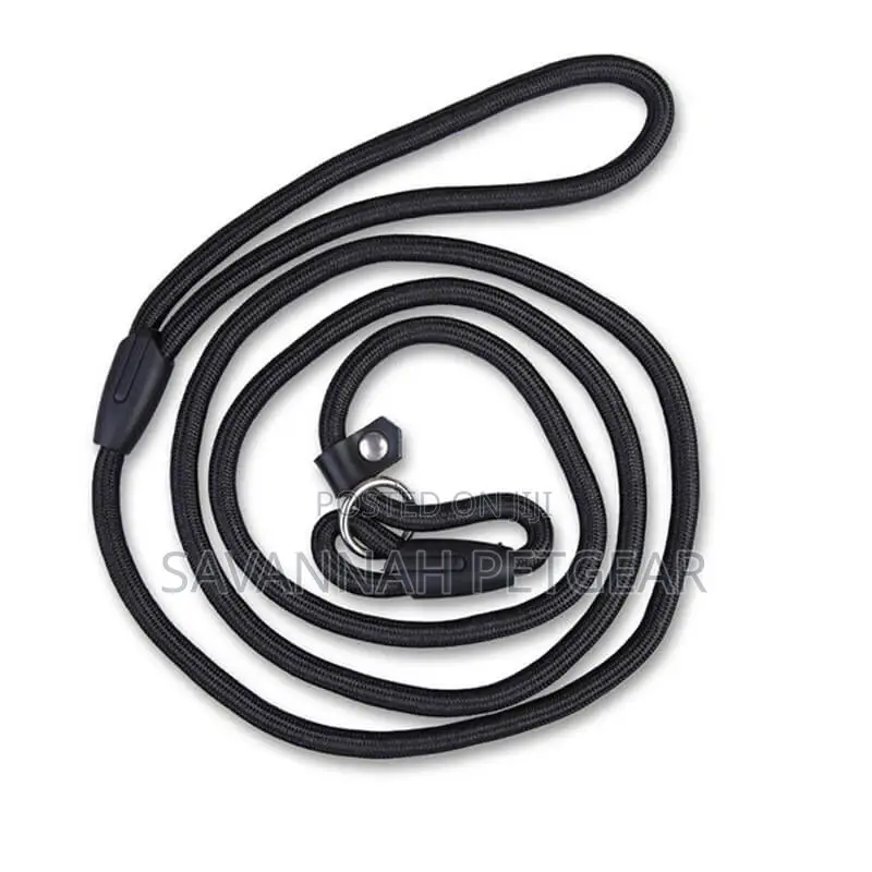 Medium Slip Lead Training/Walking Dog Rope Leash
