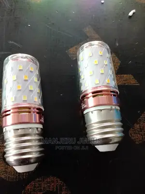 White and Warm White Bulb