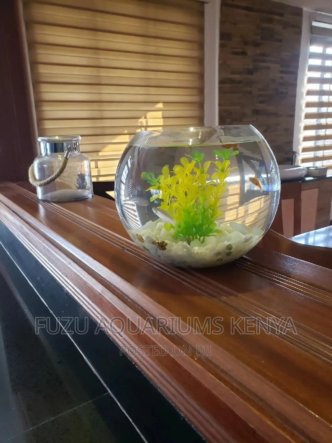 Fish Bowls Round