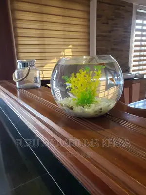 Fish Bowls Round
