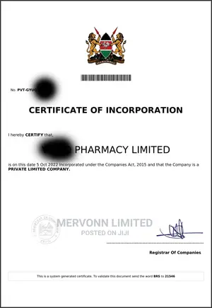 Business And Company Registration Services