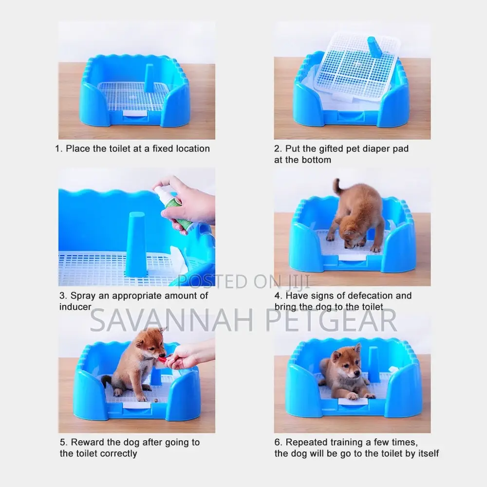 Portable Dog Toilet Training Pad -Blue Color