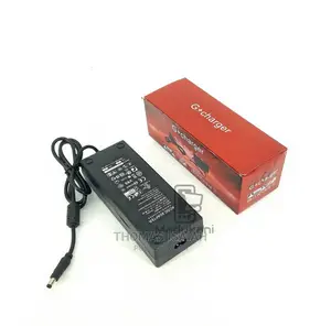 48V 2A DC G+ Power Adapter Charger With 2 Pin Plug Inlet