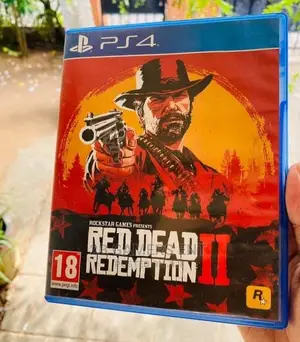 Ps4 Pro, Red Dead Redemption 2 Used