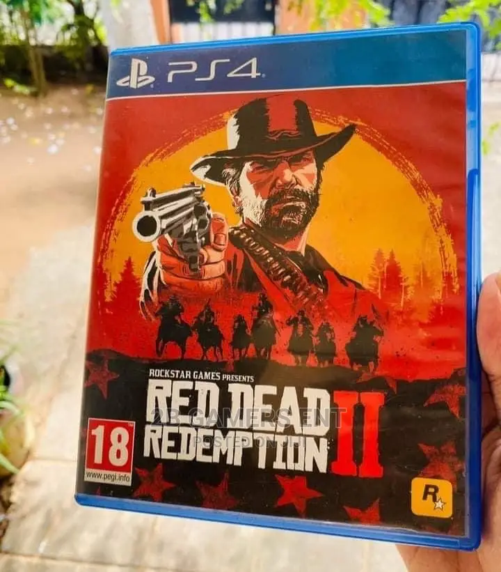 Ps4 Pro, Red Dead Redemption 2 Used