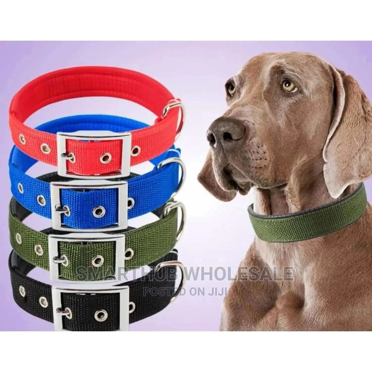 Dog Collar