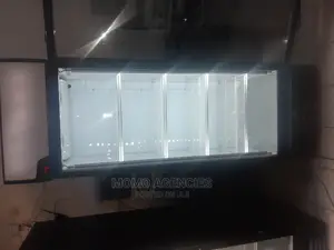 Display Fridge 650L