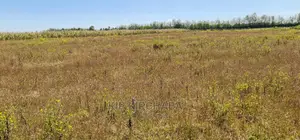 1⁄4 Plots for Sale in Kimumu Marura Near Highway in Eldoret