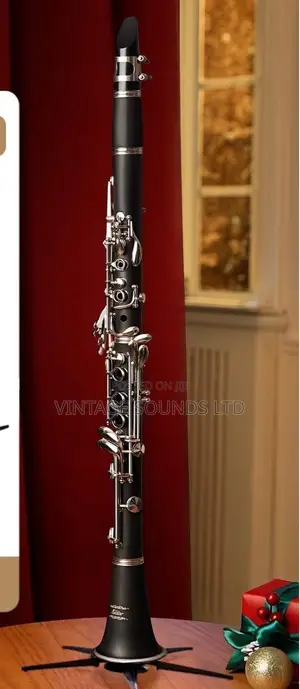 Professional B Flat Clarinet