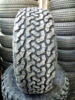 265/65r17 A/T Maxtreck Tires Made in China