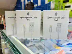 iPhone Usb Cable (1m)