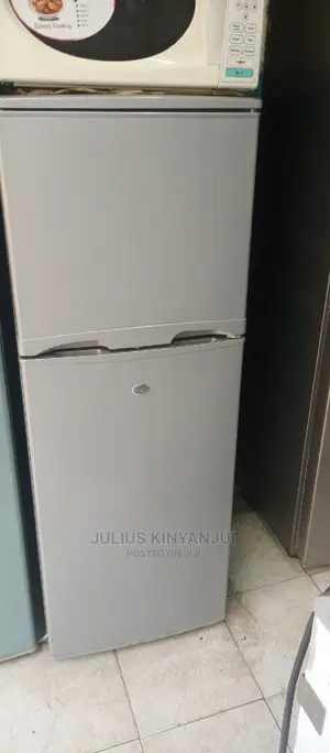 Double Door Fridge Mini