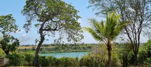 1/2 Acre Land Creekside Beach on Sale at Mtwapa