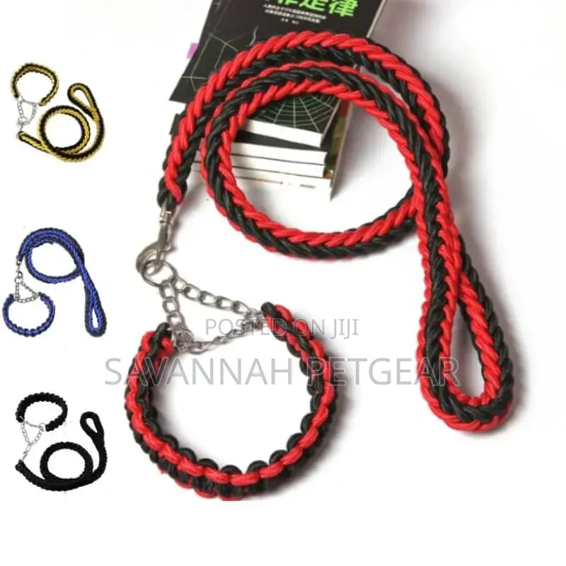 Braided Urban Dog Leash and Dog Collar
