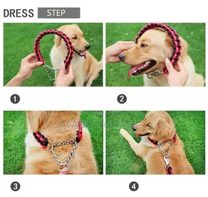 Braided Urban Dog Leash and Dog Collar