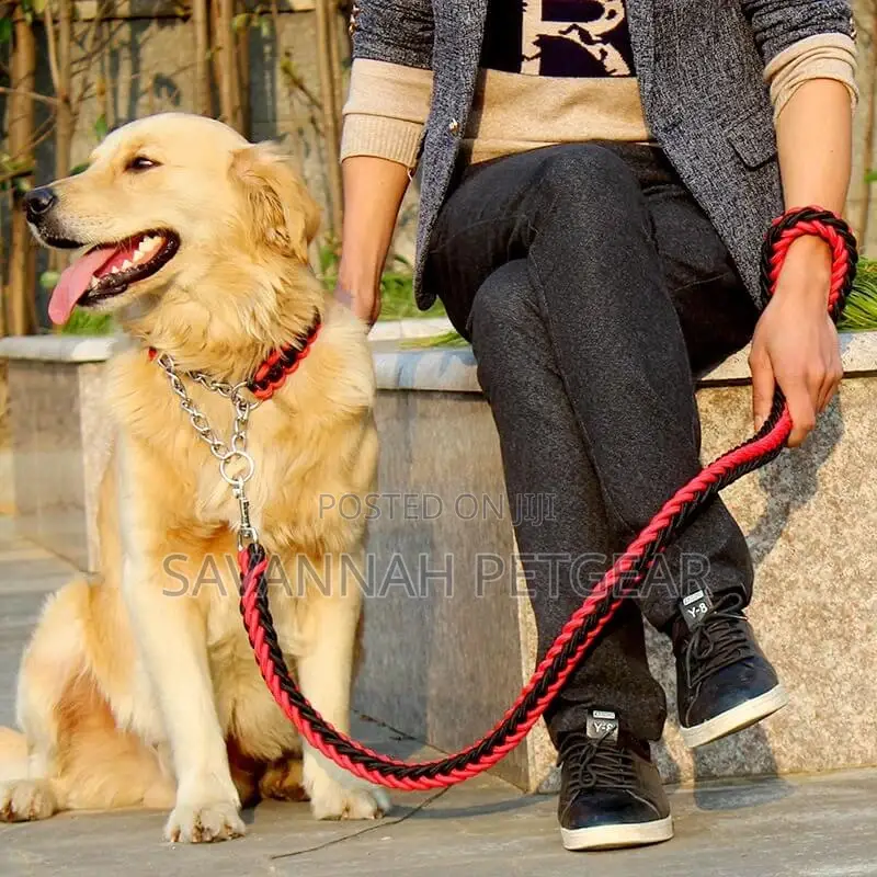 Braided Urban Dog Leash and Dog Collar
