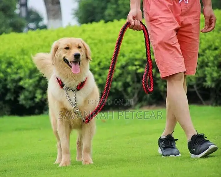 Braided Urban Dog Leash and Dog Collar