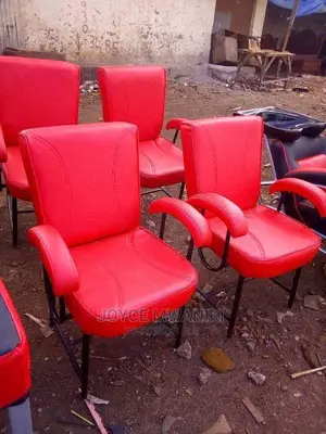 Styling or Salon Chair