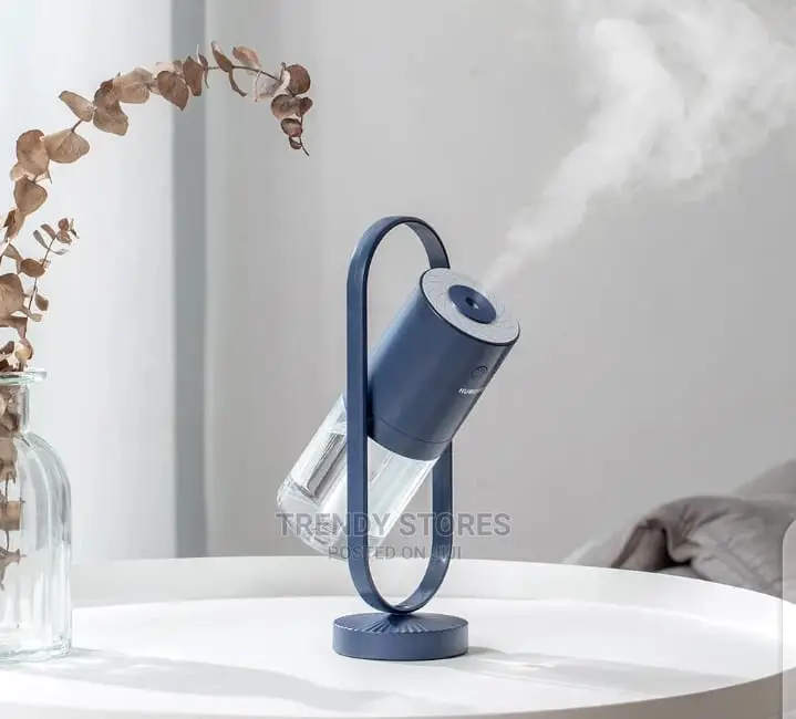 Two Spray Modes Humidifier