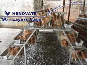 96 Hens Layers Cage