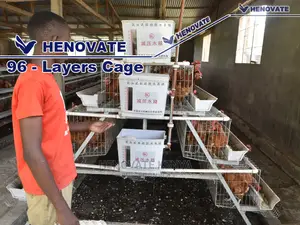 96 Hens Layers Cage