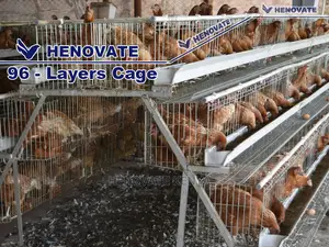 96 Hens Layers Cage