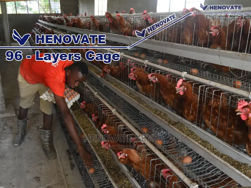 96 Hens Layers Cage