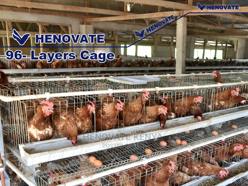 High-Quality Chicken Cages