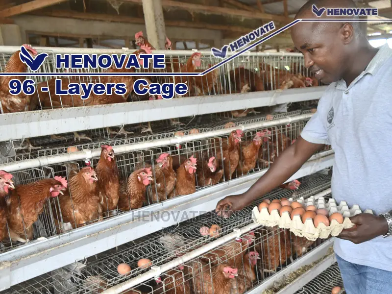 High-Quality Chicken Cages