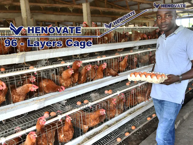 High-Quality Chicken Cages