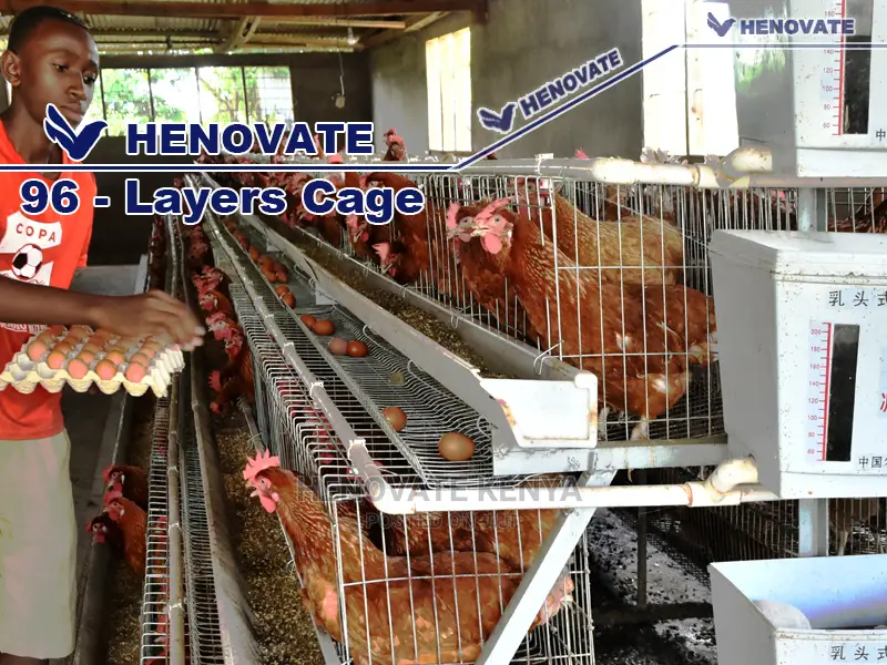High-Quality Chicken Cages
