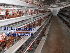 Chicken Layers Cage for 128 Birds