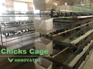 Chicks Cage