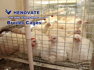Kuroiler/Broiler Chicken Cage