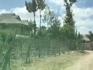 100 by 50 Titled Plot Syokimau