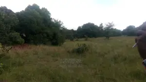50acres Along the Mara Triangle Escapment