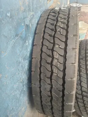 Dunlop Tires for Fi Sizes 255/70r22.5 Made in Japan Tubeles