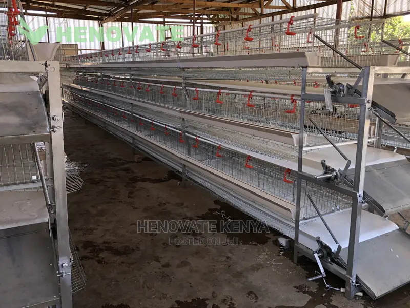 New H-type Chicken Cages