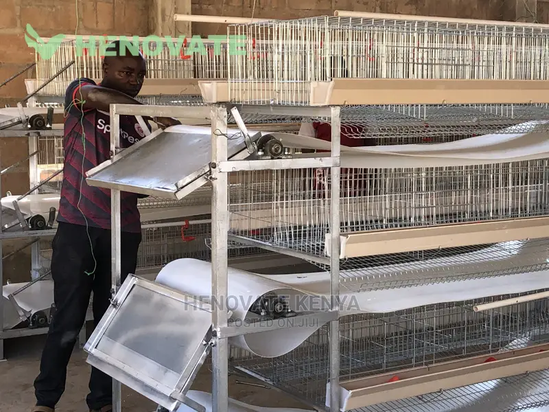 New H-type Chicken Cages