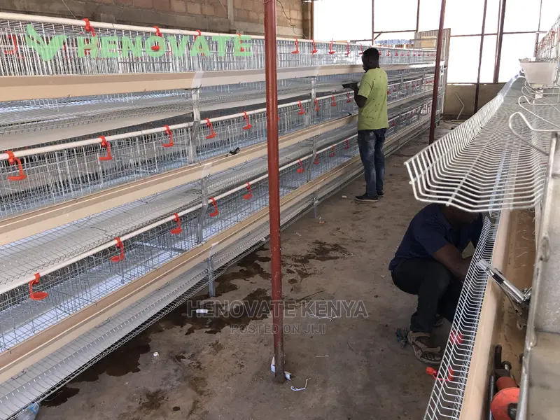 New H-type Chicken Cages