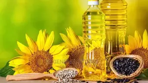 Sunflower Oil