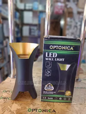 LED Wall Light