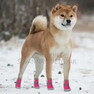 Fashion Bootie Warm Dog Boots