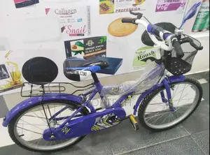 Size 18 Premier Bicycle.