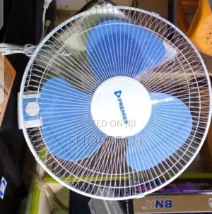 Electric Premier Wall Fan.