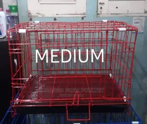 Rabbit Puppies Cage
