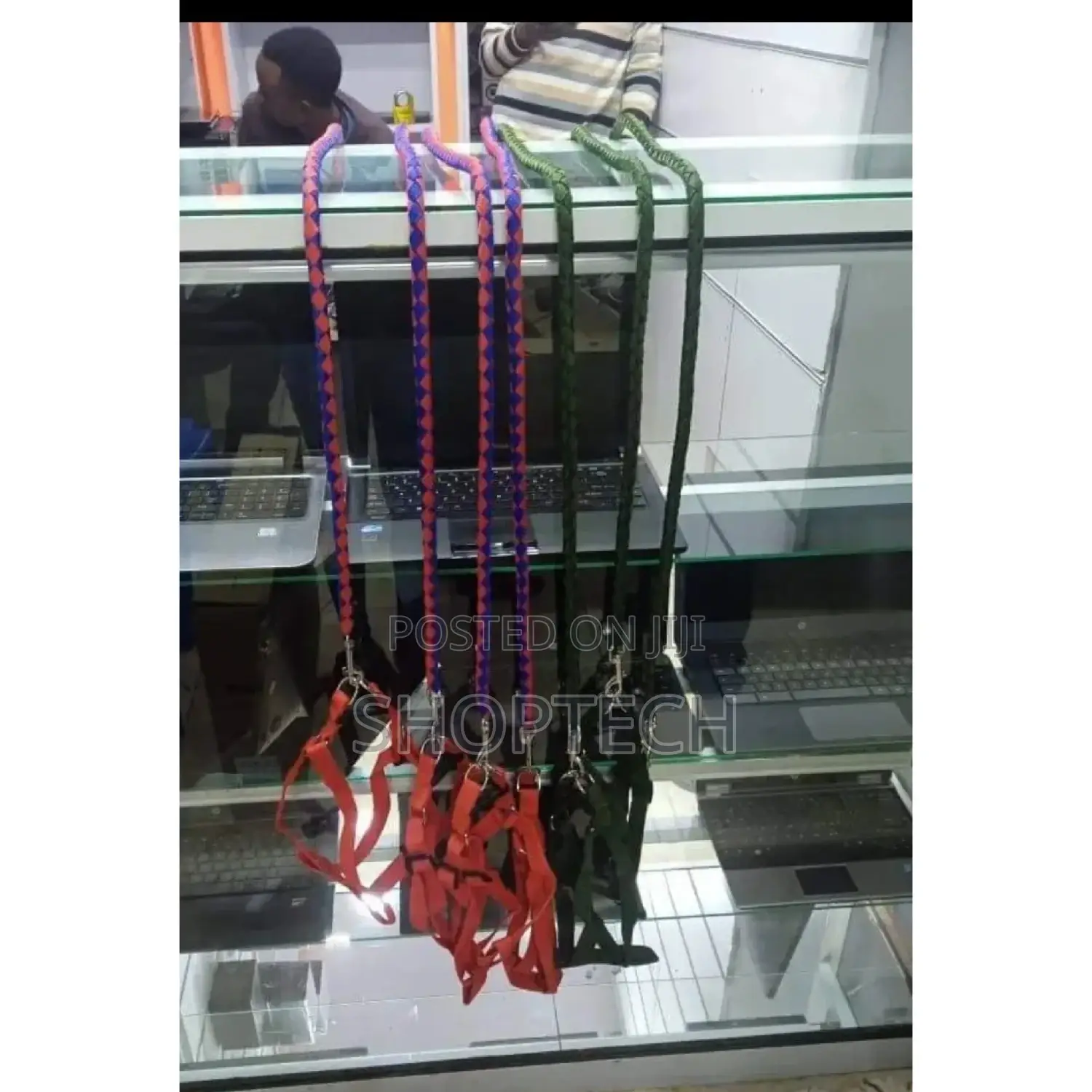Dog Leash Available.