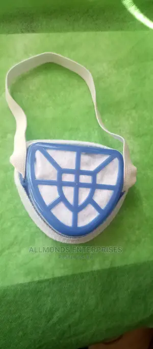 Filter Dust Mask-Blue Plastic